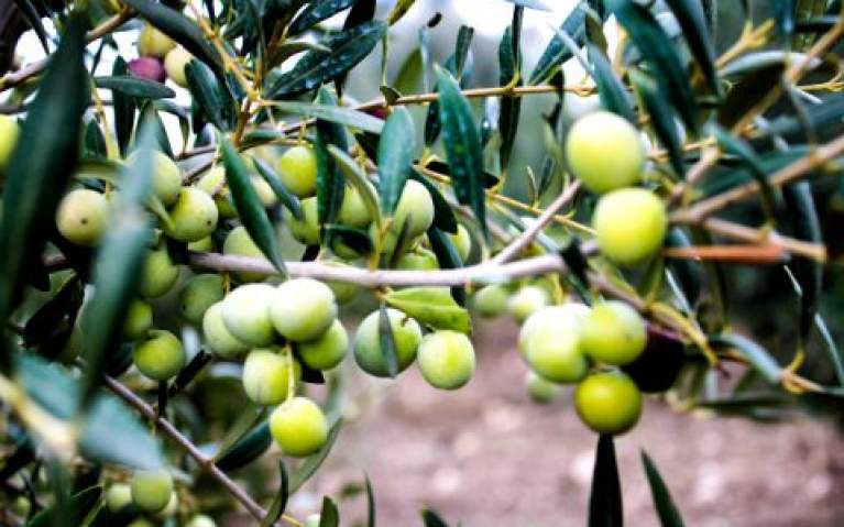 Retail banks wake up to digital lending this year